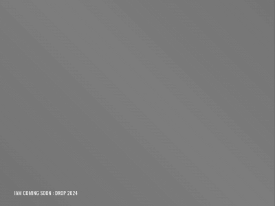 iamactivestudios.com snapshot