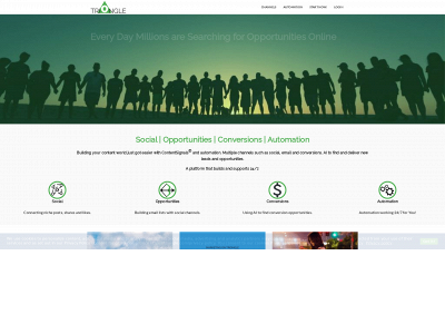 triongle.com snapshot