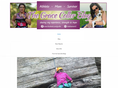 triathamomblog.com snapshot