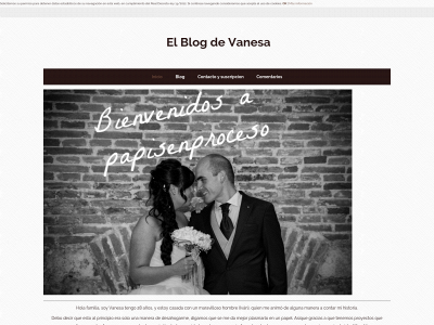 elblogdevanesa.com snapshot