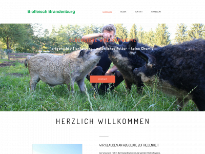 biofleisch-brandenburg.de snapshot