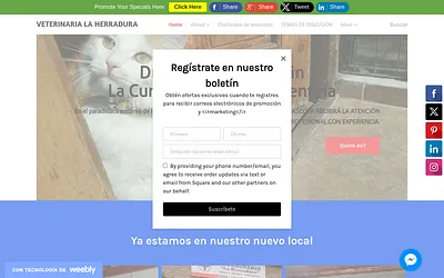 veterinarialaherradura.weebly.com snapshot