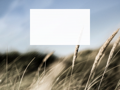 deniselarsen.dk snapshot
