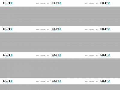 blitzcleaningcompany.nl snapshot