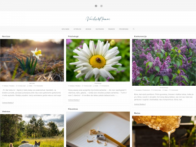 vaidosnamai.lt snapshot