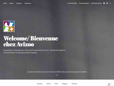 avizoodepot.com snapshot