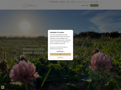 karinasterapi.dk snapshot
