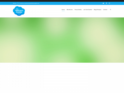 wellnessguides.org snapshot