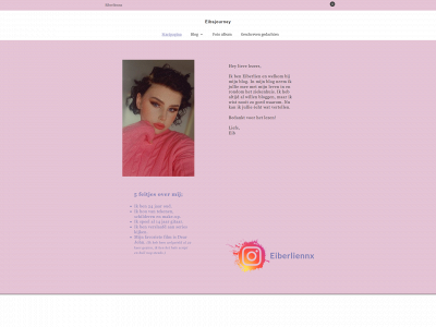 eibsjourney.nl snapshot