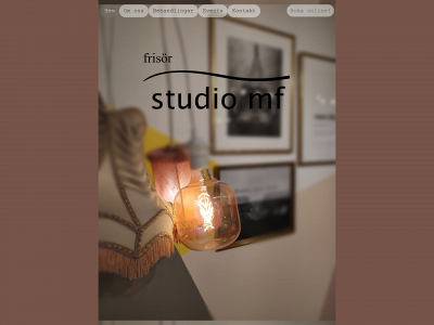studiomf.se snapshot