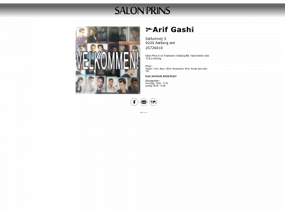 salon-prins.dk snapshot