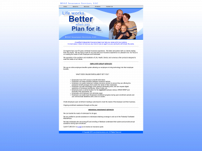 boazinsurance.com snapshot