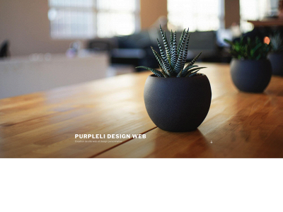 purpleli-design.fr snapshot