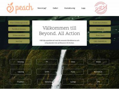 beyondallaction.se snapshot
