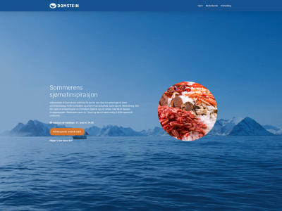 domsteinwebinar.no snapshot