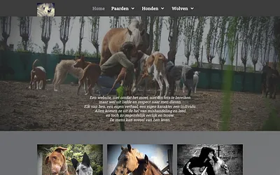 tvlooiennestje.be snapshot