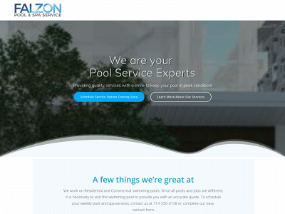 falzonpoolservice.com snapshot