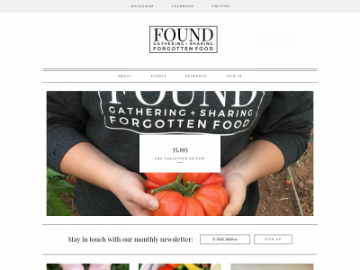 foundns.com snapshot