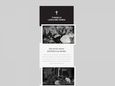 tln.lt snapshot