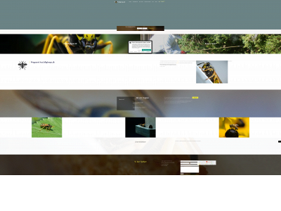 billighveps.dk snapshot