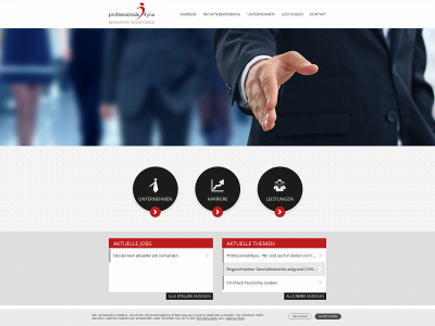 professionals4you.at snapshot