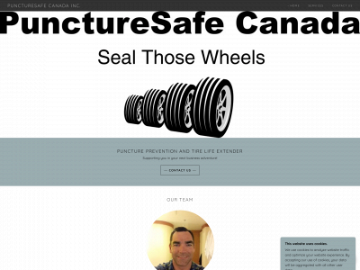 puncturesafecanada.ca snapshot