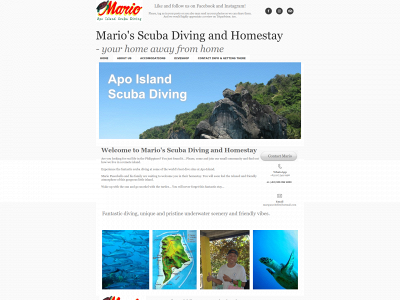 mariosscubadivinghomestay.com snapshot