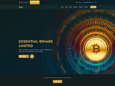 essentialbinars.com snapshot