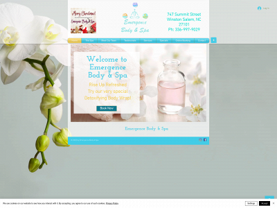 www.emergencebodyspa.com snapshot
