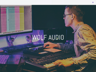 wolfaudioamsterdam.com snapshot