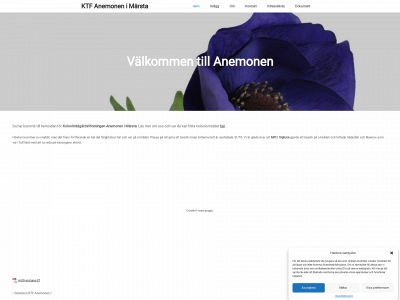 anemonenktf.se snapshot