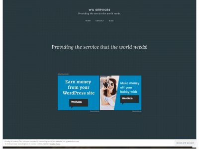 wijservices.co.uk snapshot