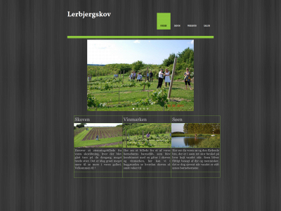 lerbjergskov.dk snapshot