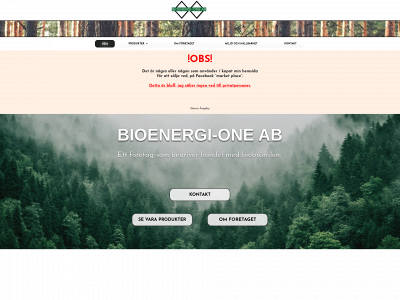 bioenergi-one.se snapshot