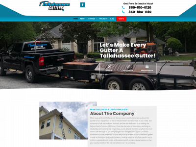 tallygutters.com snapshot