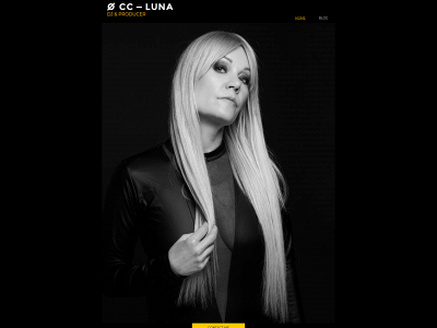 ccluna.com snapshot