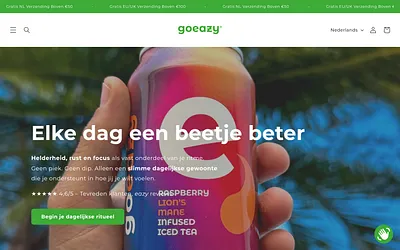 goeazy.co snapshot