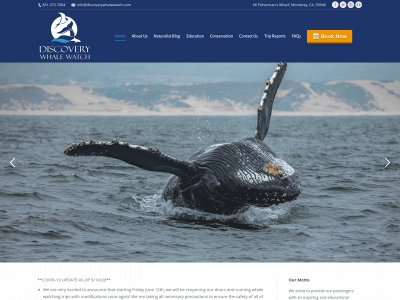 discoverywhalewatch.com snapshot