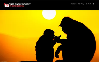 thatsinglemoment.com snapshot