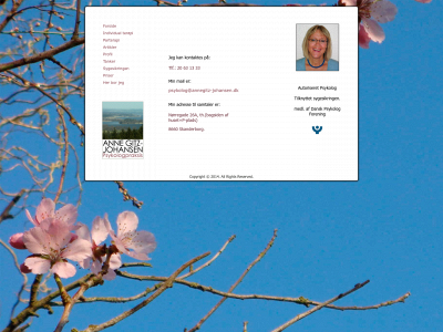 annegitz-johansen.dk snapshot
