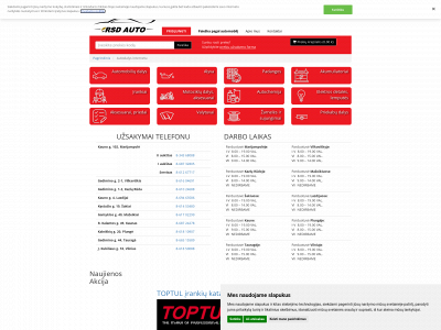 rsdauto.lt snapshot
