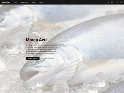 marea-azul.es snapshot