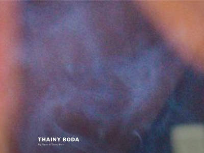 thainyboda.com snapshot