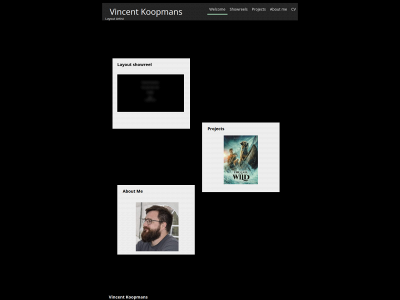 vincentkoopmans.be snapshot