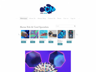 www.cellarmarinestore.co.uk snapshot