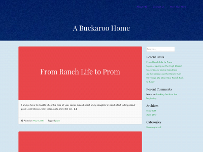 abuckaroohome.com snapshot