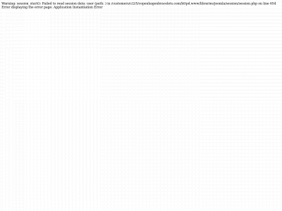 copenhagenbracelets.com snapshot