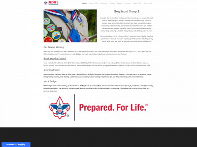 tscbsatroop2.weebly.com snapshot