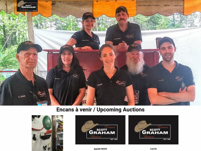 grahamauctions.ca snapshot