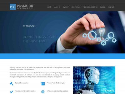 pro-ip.com snapshot